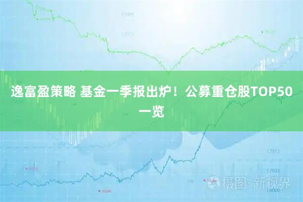 逸富盈策略 基金一季報出爐！公募重倉股TOP50一覽